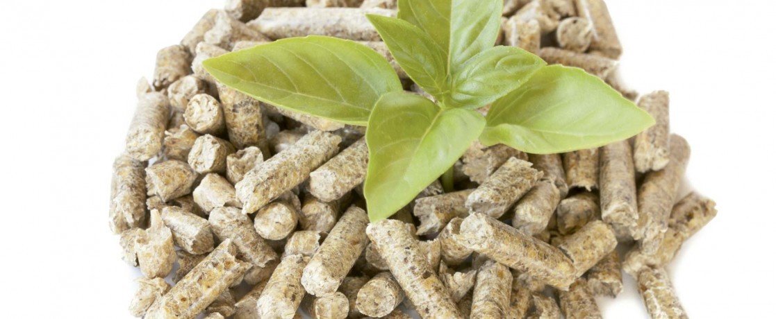 estufa-pellets-1117×460